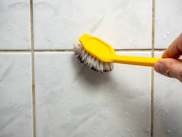 Mold Testing and Removal in Belton, SC